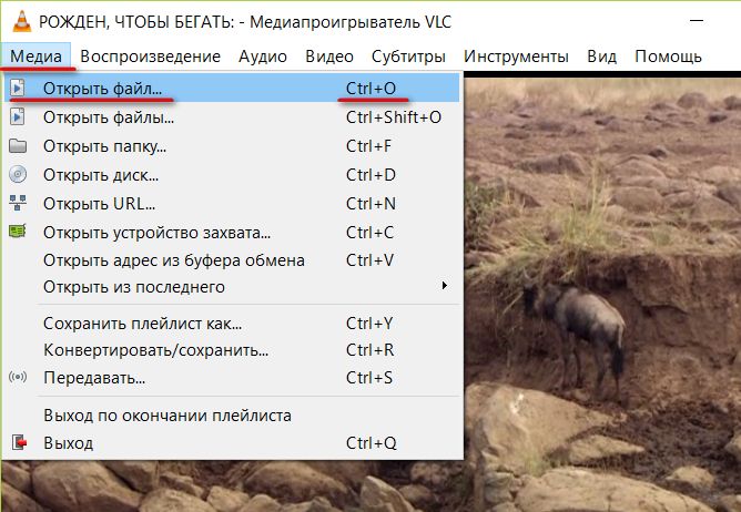 Настройка VLC Media Player для просмотра IPTV на разных устройствах