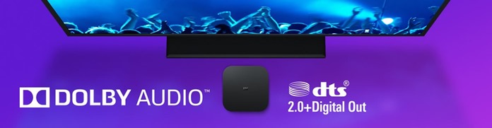 Dolby Audio и DTS 2.0