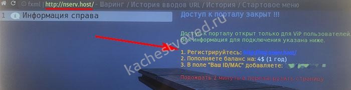 просит денег на бесплатном сервере